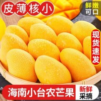 海南小臺農(nóng)芒果10斤新鮮大臺芒應季水果現(xiàn)摘熱帶雞蛋芒整箱3斤